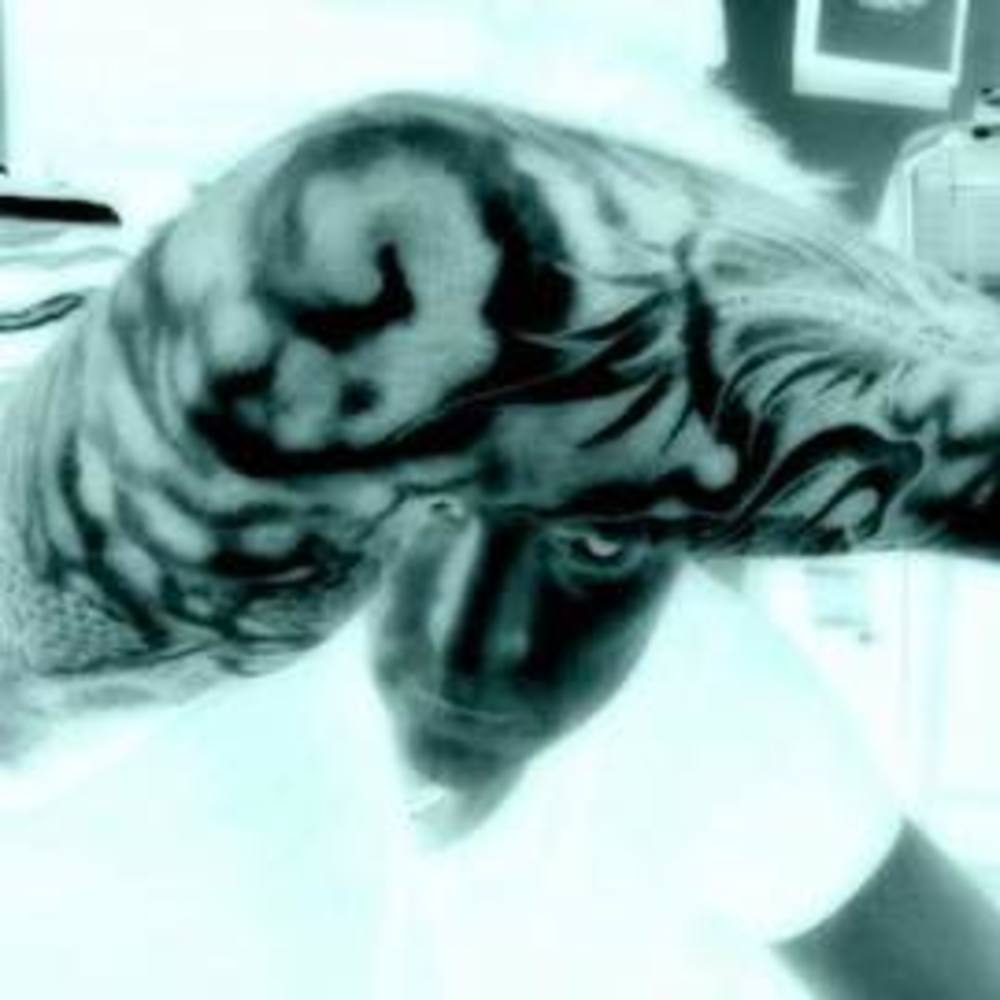 Meet your Posher, Richard